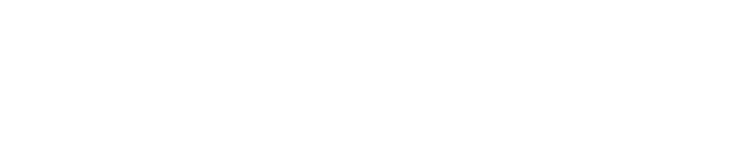 The Aviator Institute